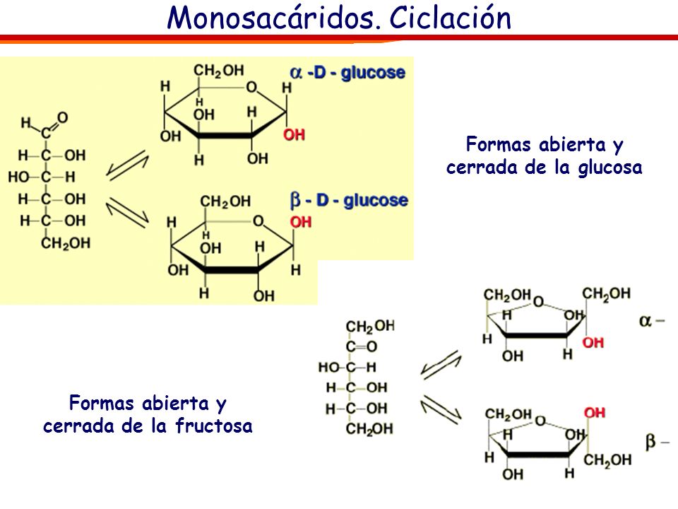estructura de la glucosa abierta y cerrada